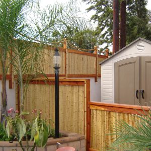 Bamboo Fencing